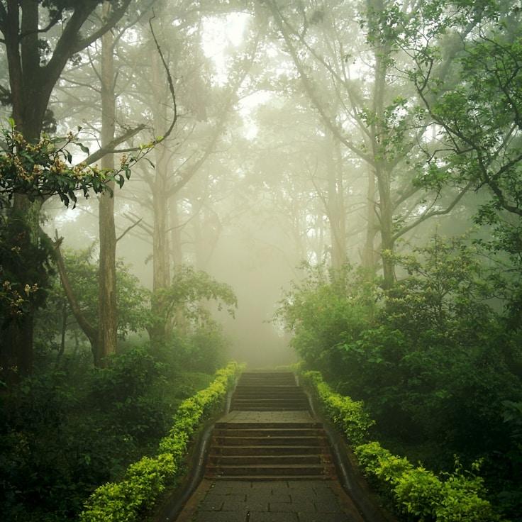 Alpine wilderness landscape